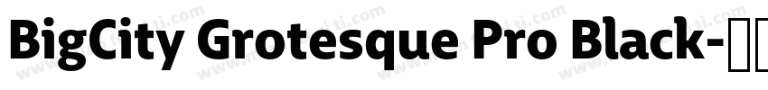 BigCity Grotesque Pro Black字体转换